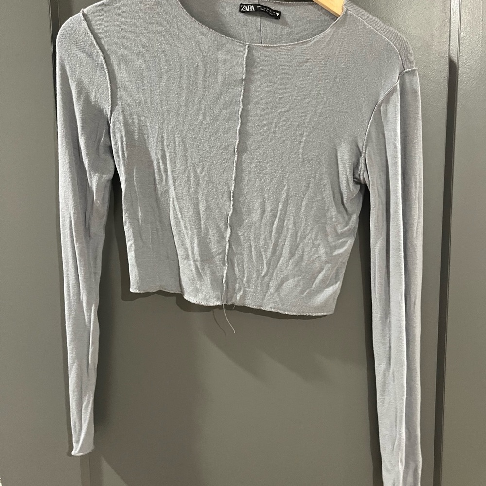 Zara Light Gray Cropped Long Sleeve Top